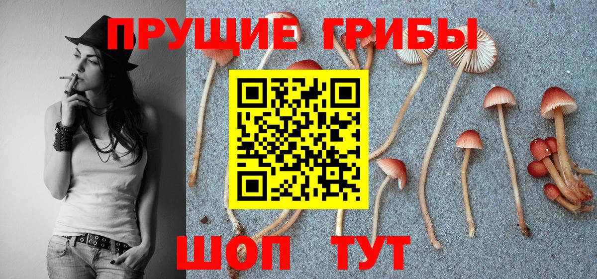 Галлюциногенные грибы MAGIC MUSHROOMS Усолье-Сибирское