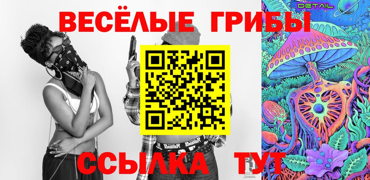 Псилоцибиновые грибы Cubensis  Вход с VPN  Усолье-Сибирское 
